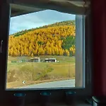 Al Dos * ليفينو